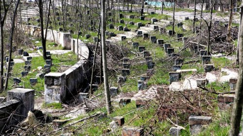 Ремонт «Зеленого театра»: французский огород, вай-фай и солнечные батареи