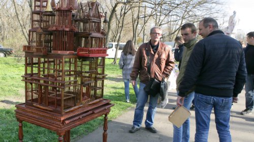 Голуби, куры и павлины: выставка птиц в Одессе (фоторепортаж)