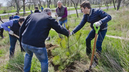 В уборке склонов вдоль Трассы здоровья приняли участие более 500 одесситов