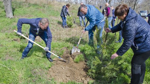 В уборке склонов вдоль Трассы здоровья приняли участие более 500 одесситов
