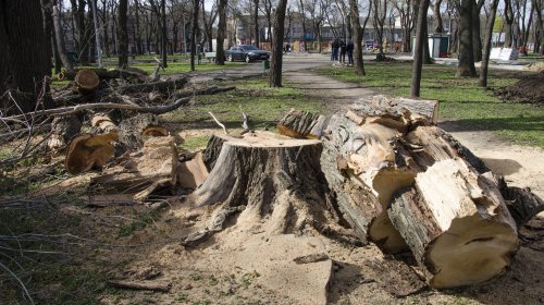 Мэр о благоустройстве Старосенной площади: одесситам понравится