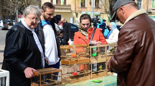 На Благовещение одесситы выпустили в небо белых голубей
