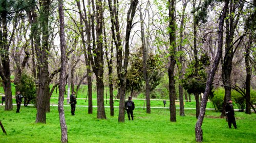 Одесса отмечает День освобождения города