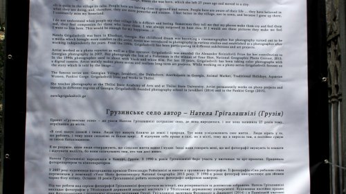«Грузинское село» развесили на ограде Бродской синагоги 