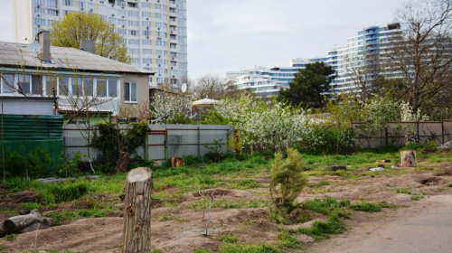 Сквер «Юность»: от незаконной стройки остался биотуалет