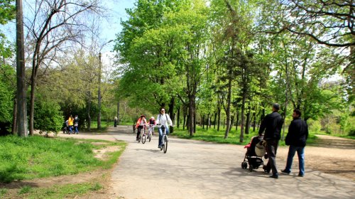 Загорающие черепахи, моделисты и дети: весна в одесских парках (фоторепортаж)