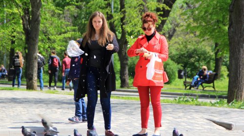 Загорающие черепахи, моделисты и дети: весна в одесских парках (фоторепортаж)