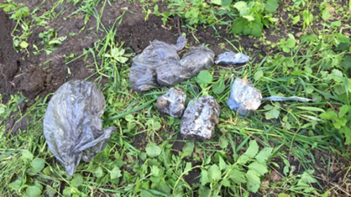 В одесском парке нашли тайник с гранатами и патронами