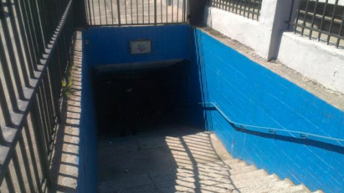 Возле Куликова поля нашли гранаты