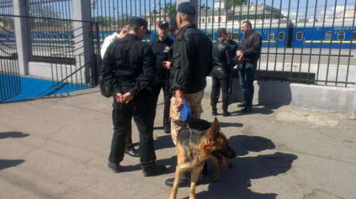 Возле Куликова поля нашли гранаты