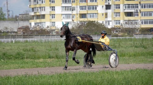 Весенний ипподром (фоторепортаж)