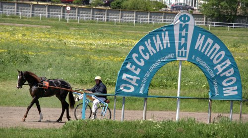 Весенний ипподром (фоторепортаж)