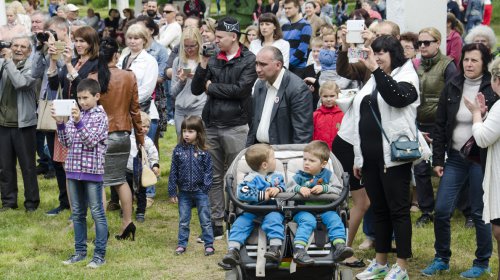 В Приморском районе чествуют ветеранов
