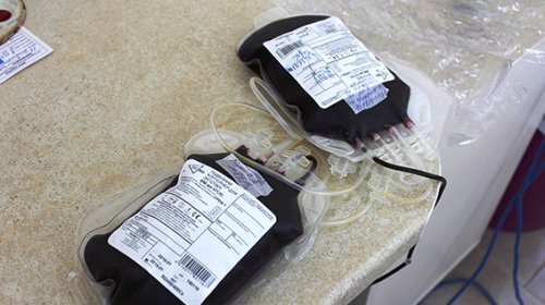 Полицейские сдали кровь для пострадавших в ДТП и зоне АТО