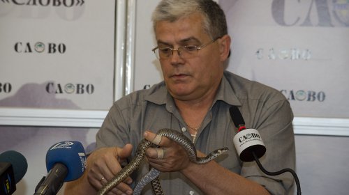 Игорь Беляков: змеи Одесского региона не опасны для окружающих