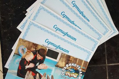 Для юных одесситов с ДЦП проведут курс дельфинотерапии