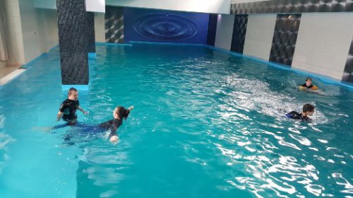 Для юных одесситов с ДЦП проведут курс дельфинотерапии