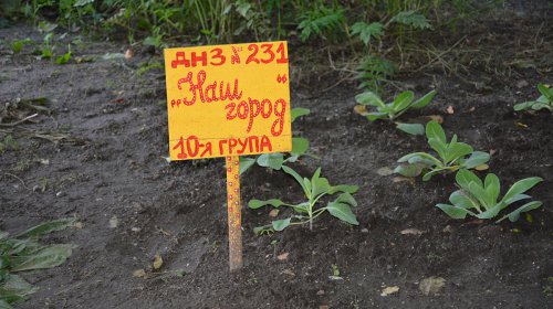 В детсаду на Маршала Жукова после капремонта открыли пищеблок