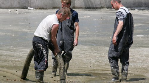 Пруд в парке Победы чистят от ила