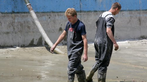 Пруд в парке Победы чистят от ила