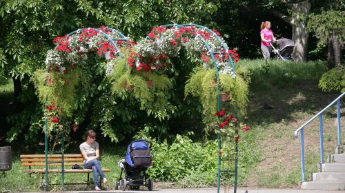 Пруды парка Победы: утки, лебеди и черепахи (фоторепортаж)