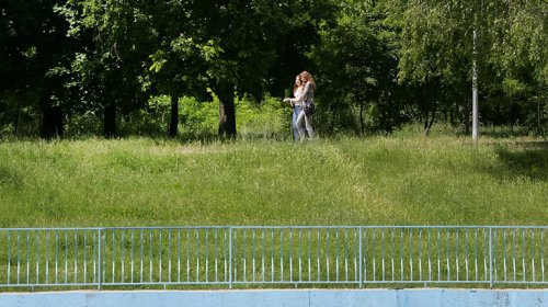 Пруды парка Победы: утки, лебеди и черепахи (фоторепортаж)