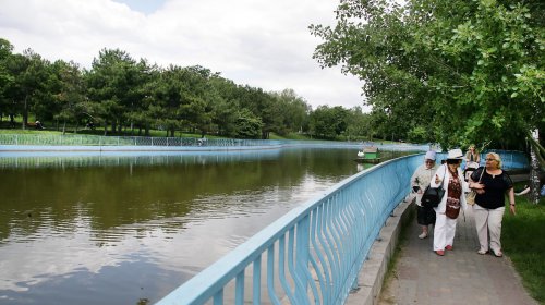 Пруды парка Победы: утки, лебеди и черепахи (фоторепортаж)