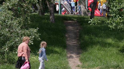 Пруды парка Победы: утки, лебеди и черепахи (фоторепортаж)
