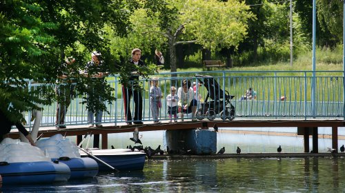Пруды парка Победы: утки, лебеди и черепахи (фоторепортаж)