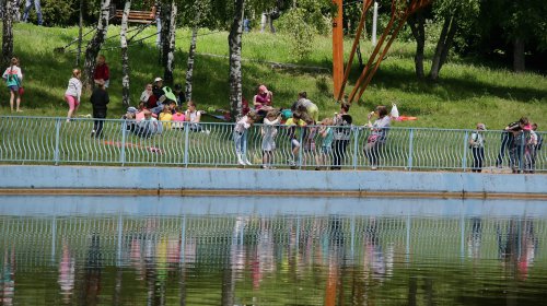 Пруды парка Победы: утки, лебеди и черепахи (фоторепортаж)