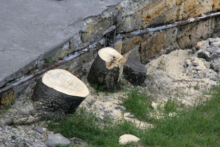 Ремонт Потемкинской лестницы (фоторепортаж)