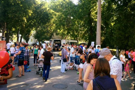 В сквере Гамова отметили День семьи