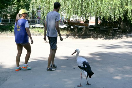В Одесском зоопарке спасали носорогов (фоторепортаж)