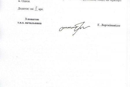 Лорткипанидзе попросил мэра ограничить права граждан (документ)
