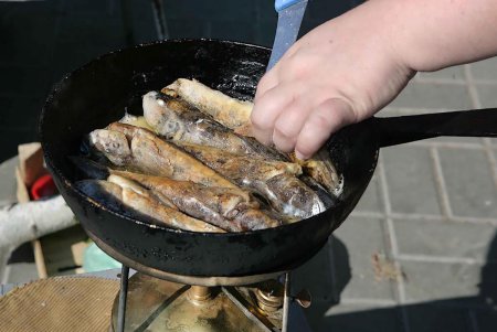 В Парке Победы — аншлаг желающих попасть в «Рай» и понять причины любви к Одессе (фоторепортаж)