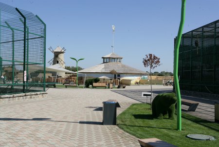 Жирафу Васильку привезли заграничную подругу (фоторепортаж)