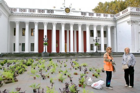 В самом центре Одессы накрыли ботаническую поляну (фоторепортаж)