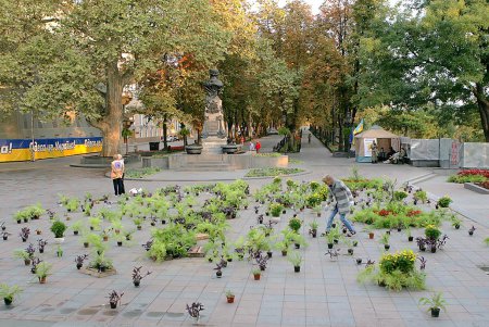 В самом центре Одессы накрыли ботаническую поляну (фоторепортаж)