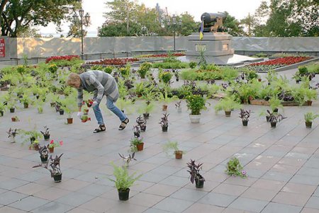 В самом центре Одессы накрыли ботаническую поляну (фоторепортаж)