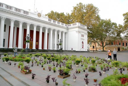 В самом центре Одессы накрыли ботаническую поляну (фоторепортаж)