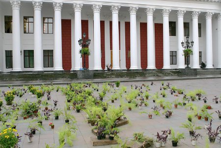 В самом центре Одессы накрыли ботаническую поляну (фоторепортаж)