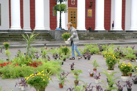 В самом центре Одессы накрыли ботаническую поляну (фоторепортаж)