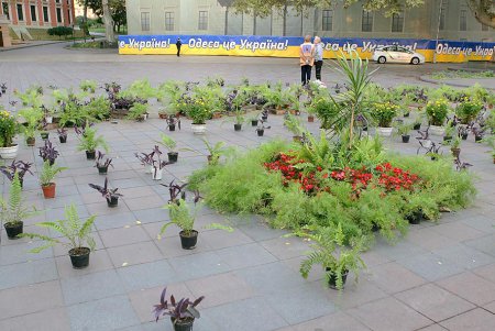 В самом центре Одессы накрыли ботаническую поляну (фоторепортаж)