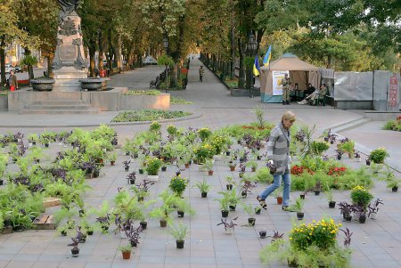 В самом центре Одессы накрыли ботаническую поляну (фоторепортаж)