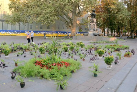В самом центре Одессы накрыли ботаническую поляну (фоторепортаж)