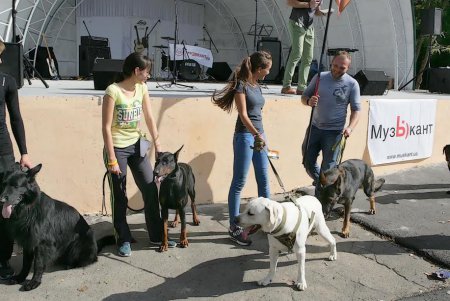 В Одессе прошел первый DOG-марафон (фоторепортаж)