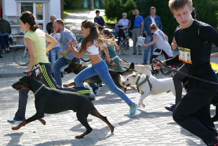 В Одессе прошел первый DOG-марафон (фоторепортаж)