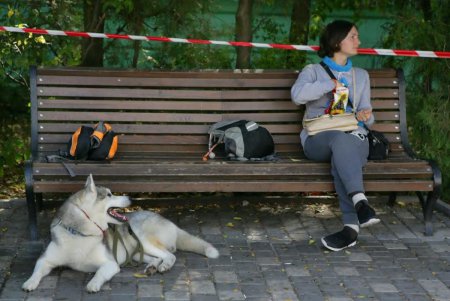 В Одессе прошел первый DOG-марафон (фоторепортаж)