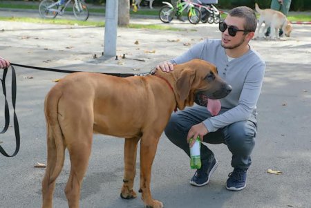 В Одессе прошел первый DOG-марафон (фоторепортаж)