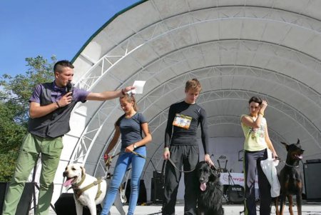 В Одессе прошел первый DOG-марафон (фоторепортаж)